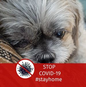 Meet your Posher, Joelle